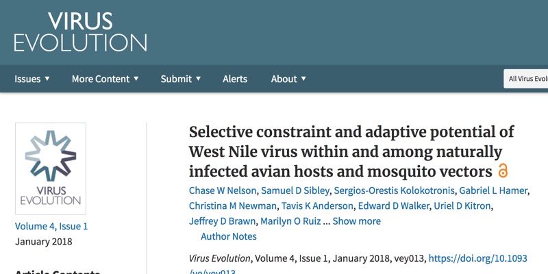 Selective constraint and adaptive potential of West Nile virus within and among naturally infected avian hosts and mosquito vectors